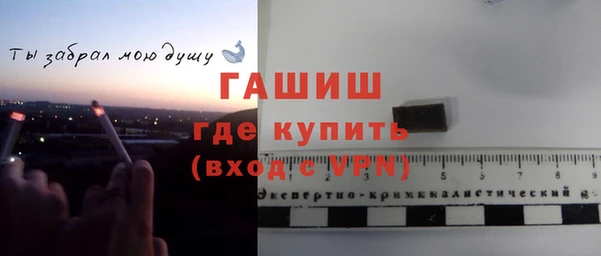 ГАЛЛЮЦИНОГЕННЫЕ ГРИБЫ Белокуриха