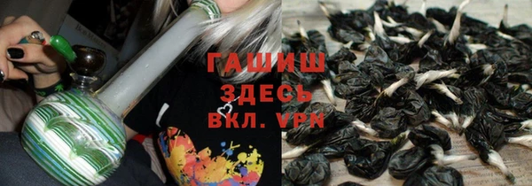 ГАЛЛЮЦИНОГЕННЫЕ ГРИБЫ Белокуриха