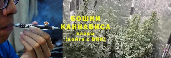 ГАЛЛЮЦИНОГЕННЫЕ ГРИБЫ Белокуриха