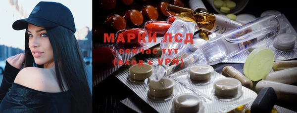 ALPHA PVP Беломорск