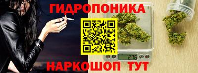 сатива Краснознаменск
