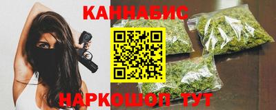 сатива Краснознаменск