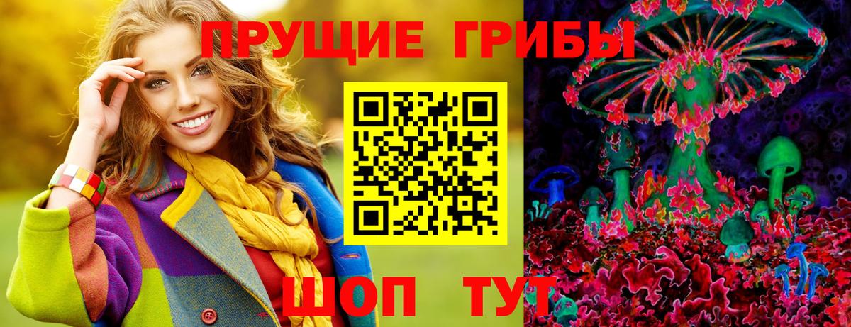 Псилоцибиновые грибы мицелий Черняховск