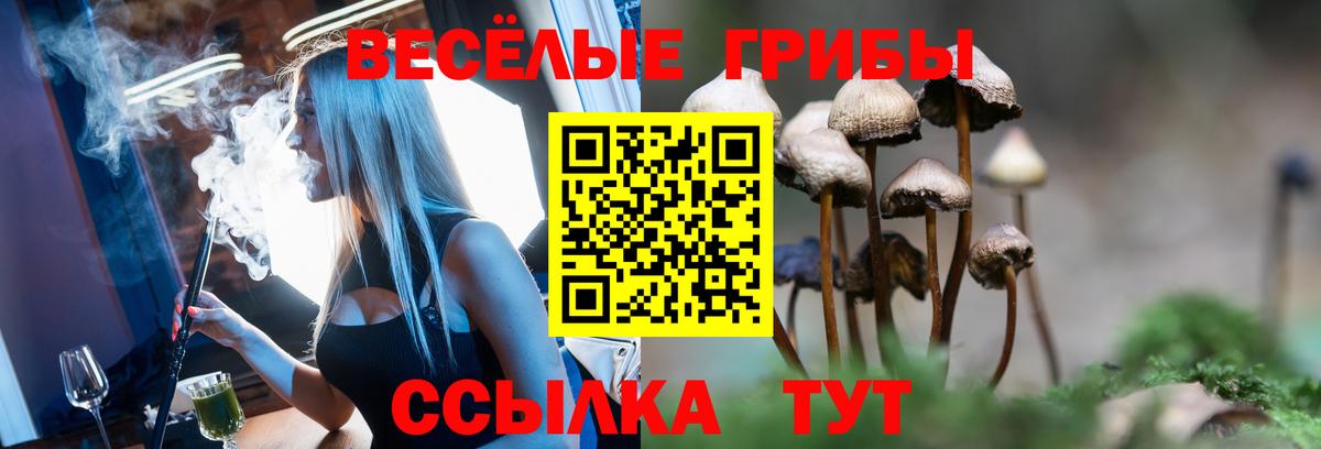 Псилоцибиновые грибы мухоморы  Галлюциногенные грибы Psilocybine cubensis  Вход с VPN  Черняховск 